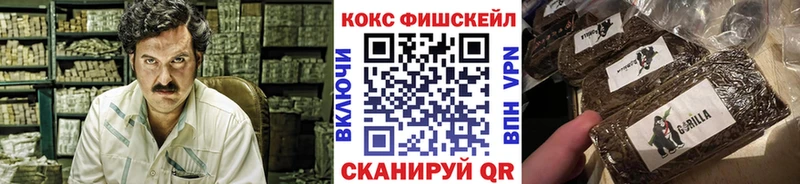 Купить закладки  Нюрба  Кокаин 98% 