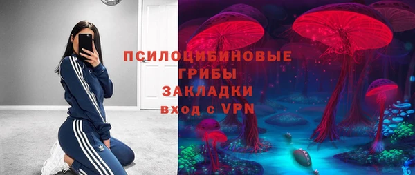 дживик Бронницы