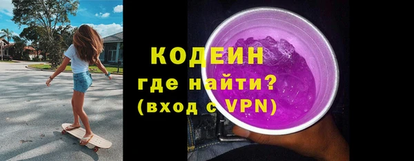 дживик Бронницы