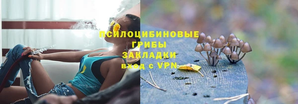 бошки Бородино
