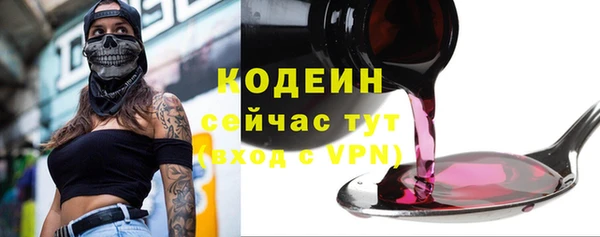 бошки Бородино