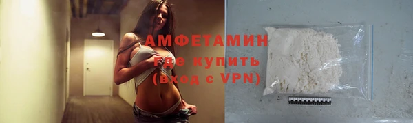 дживик Бронницы