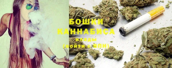 бошки Бородино