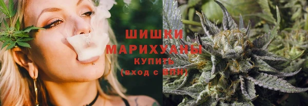 дживик Бронницы