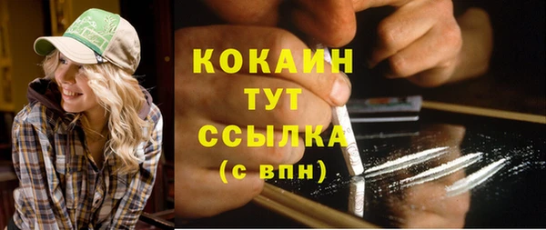 бошки Бородино